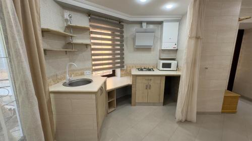 a small kitchen with a sink and a microwave at Апартаменты на Дерибасовской in Odesa