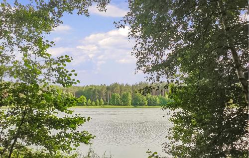 a view of a lake from between two trees at Awesome Home In Cieciorka in Cieciorka