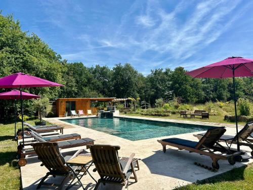 Πισίνα στο ή κοντά στο Traditional House With Pool Near Armagnac