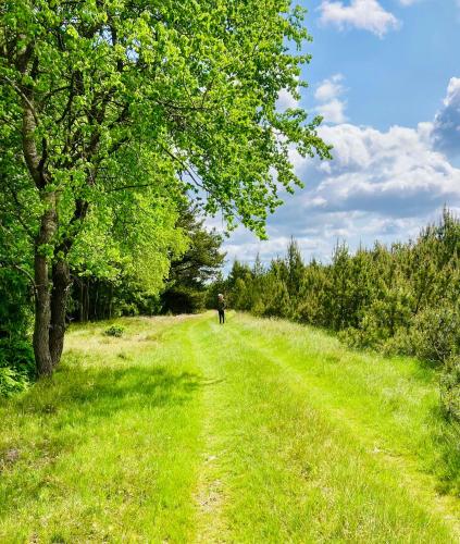 a person walking down a path in a field at Peaceful Holiday Apartment By Skærbæk Plantation in Them