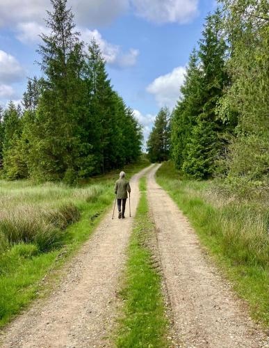a person walking down a dirt road with poles at Peaceful Holiday Apartment By Skærbæk Plantation in Them