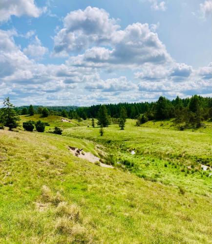 a field with green grass and trees in the background at Peaceful Holiday Apartment By Skærbæk Plantation in Them