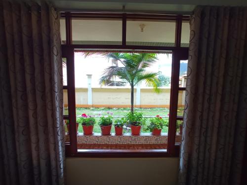 Photo de la galerie de l'établissement Hospedaje El Manantial, à Oxapampa