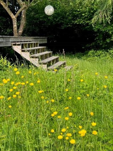 a wooden bench in a field of grass with flowers at Holiday Home With Wild Garden Near Tisvilde Beach in Tisvilde