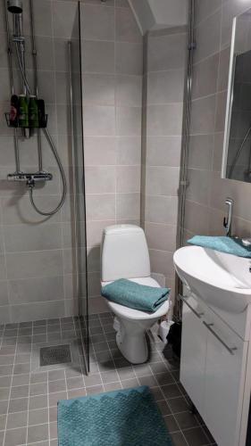 a bathroom with a toilet and a sink and a shower at Kasarminkadun Basic Cozy 19,5 m2 in Vaasa