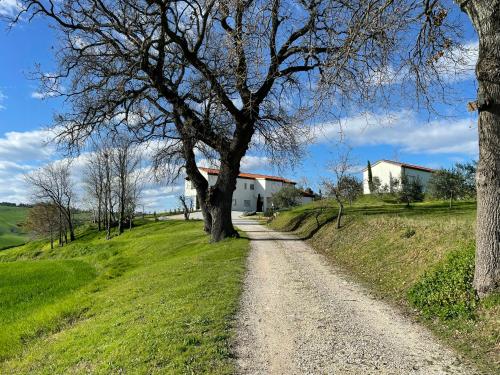 レカナーティにあるWellness Hillside House In Le Marcheの畑の脇に木のある未舗装道路