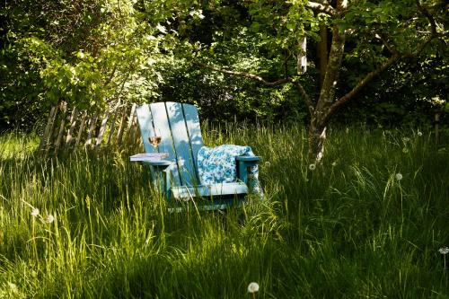 a blue chair sitting in a field of tall grass at Personally Furnished Holiday Home Near The Beach in Vejby