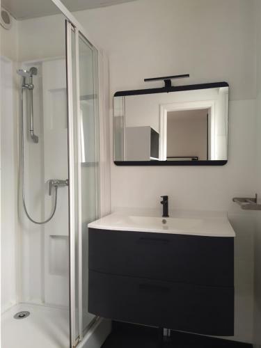 une salle de bain avec un lavabo et un miroir dans l'établissement Ty Nevet - Appartement avec balcon et parking privé, à Quimper