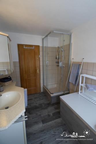a bathroom with a shower and a sink at 58 Ferienhaus Sonnenblick in Avendorf auf Fehmarn