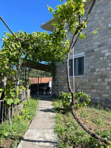 a tree in front of a house at Apartmani Baila in Ðurmani