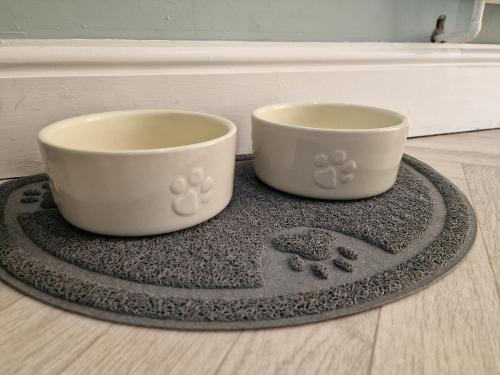 two bowls sitting on a rug on the floor at Southbarn - Spectacular Country Home in Winestead