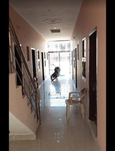 a dog sitting on the floor in a hallway at Harjas homestay in Kharar