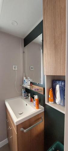 une salle de bain avec un lavabo et un miroir dans l'établissement Mobilhome confortable, spacieux et lumineux dans camping, aux Mathes