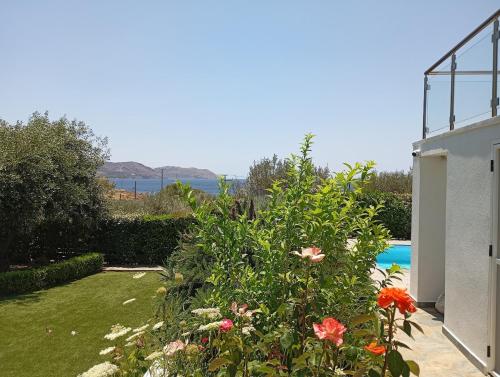 a garden with flowers and a swimming pool at Anemelia & Helios Studio in Anavissos