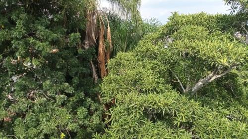 Gambar di galeri bagi Bonanza di Cuernavaca