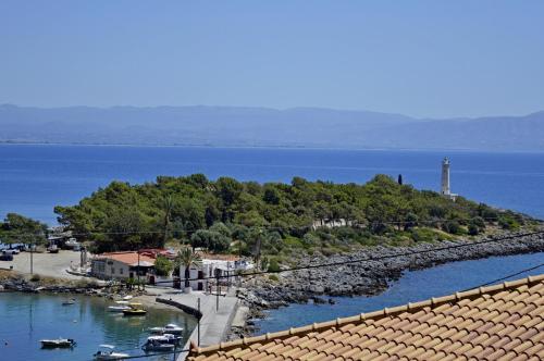 Malvazios Faragnanti #2