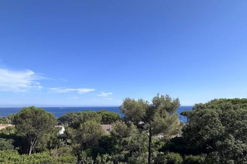 Apartment 3p with terrace facing the sea