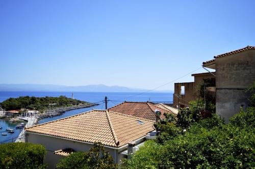 Malvazios Faragnanti #3