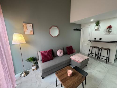 un salon avec un canapé et une table dans l'établissement Petit Boudoir Lyonnais neuf terrasse climatisé, à Vénissieux