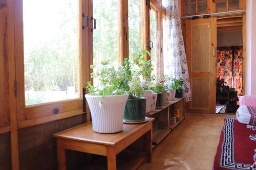 a room with a row of potted plants on a table at Nilza Guest House in Leh