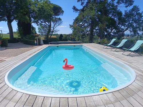une piscine avec un cygne rose dans l'eau dans l'établissement La chambre de Marin, à Lombers