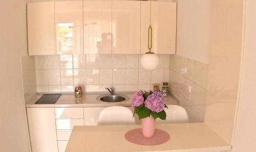 Fotografie z fotogalerie ubytování Apartman Nini v destinaci Kraljevo