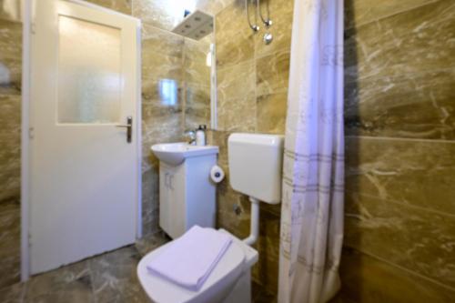 a bathroom with a white toilet and a sink at Apartman Drače in Drače