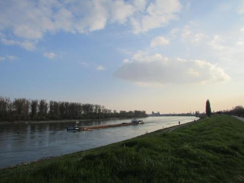 a barge traveling down a river next to a grass field at Alte Heimat in Schwegenheim