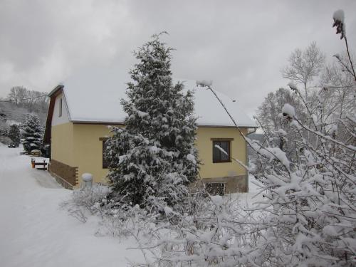a house with a snow covered tree in front of it at chalupa Vadčice in Dehtáře