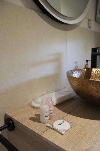 a counter with two bottles of soap and a bowl at Stellar Otavice in Otavice