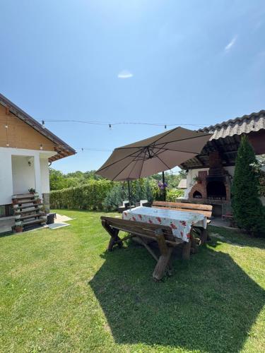 a picnic table with an umbrella in a yard at Pensiunea Angelica in Baia de Fier