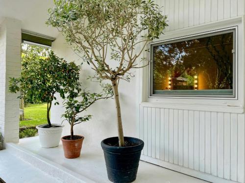 two potted trees sitting on a window sill at Seehaus Mit Bootssteg Am Naturschutzgebiet in Krefeld