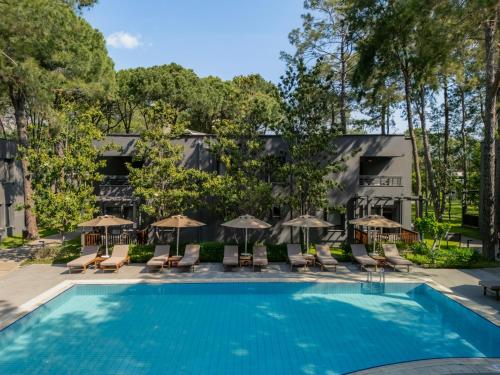 Басейн в Balmy Foresta або поблизу