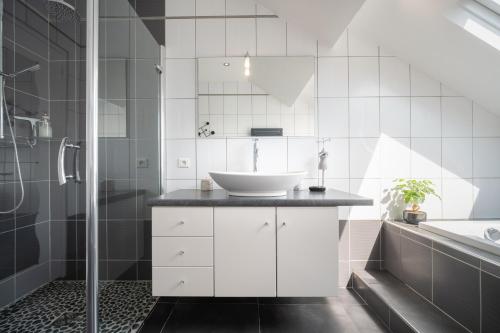 une salle de bain avec un lavabo et une douche dans l'établissement Duplex avec parking La Parenthèse Pétillante, à Épernay