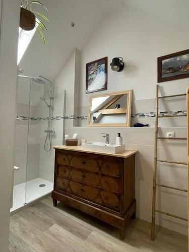 une salle de bain avec un lavabo et une douche dans l'établissement Au Nid du MONT, à Le Mont-Saint-Adrien