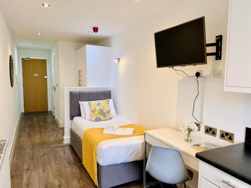 TV a/nebo společenská místnost v ubytování Fox House Studios, Aparthotel