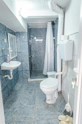 a bathroom with a toilet and a shower and a sink at Villa DukiBalo in Ohrid
