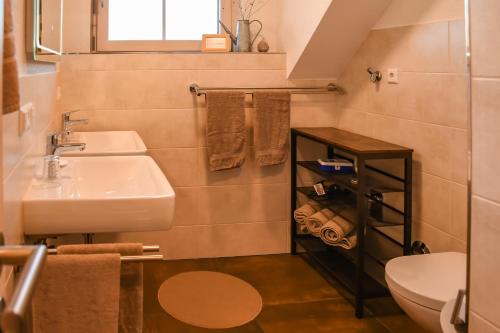 a bathroom with a sink and a toilet at Waldfrieder Ferienwohnungen in Lauterbach