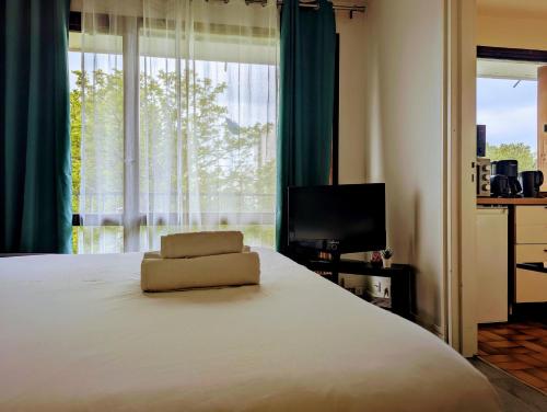 a bedroom with a large bed and a television at Budget apart with balcony in Saint-Denis