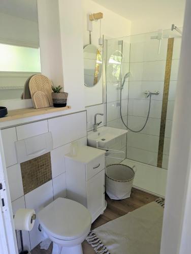 a bathroom with a toilet and a sink and a shower at Gemütliche Ferienwohnung in den Bergen in Siegsdorf