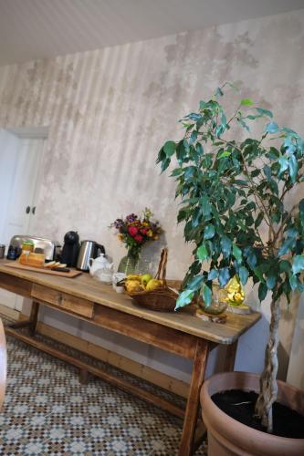 Au Nid du MONT في Le Mont-Saint-Adrien: طاولة خشبية عليها شجرة مزروعة في وعاء