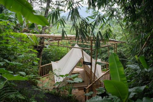 Jardín al aire libre en Nysa Forest Sanctuary