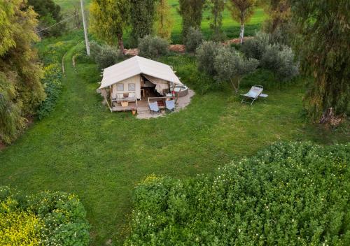 eine Luftansicht eines Zeltes auf einem Feld in der Unterkunft Tienda de Safari Almagro in Montecorto