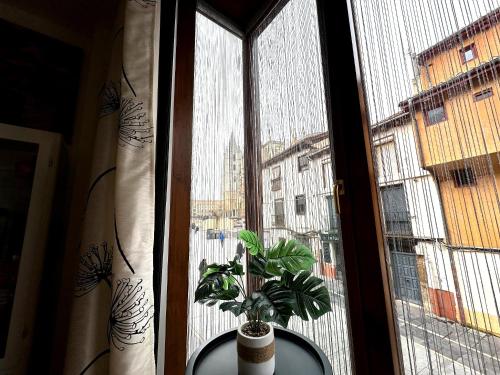 El Brezo con vistas a la Pulchra