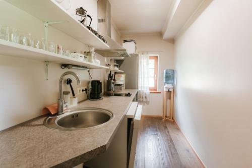 a kitchen with a sink and a counter at Lejasbisenieki in Turaida