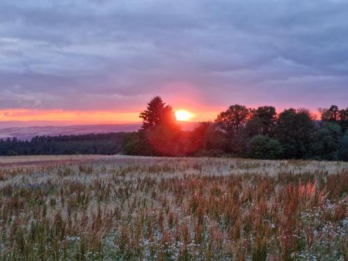 a field of grass with the sunset in the background at Ferienwohnung Spirou in Waldesch