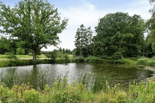 a pond in the middle of a field with trees at Guest House By Lake And Forest in Nakskov