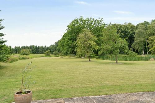 a large open field with trees in the background at Guest House By Lake And Forest in Nakskov