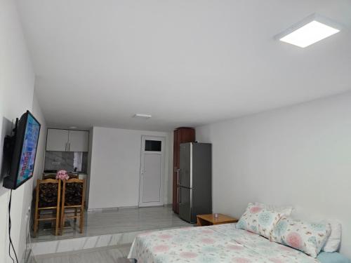 a living room with a bed and a kitchen at Studio Dana in Arandjelovac