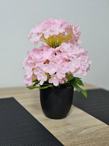 a black vase filled with pink flowers on a table at Studio Dana in Arandjelovac